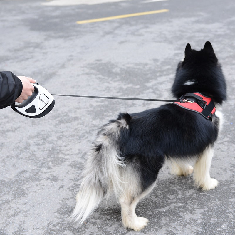 Doggone Light Leash Retractable LED Leash