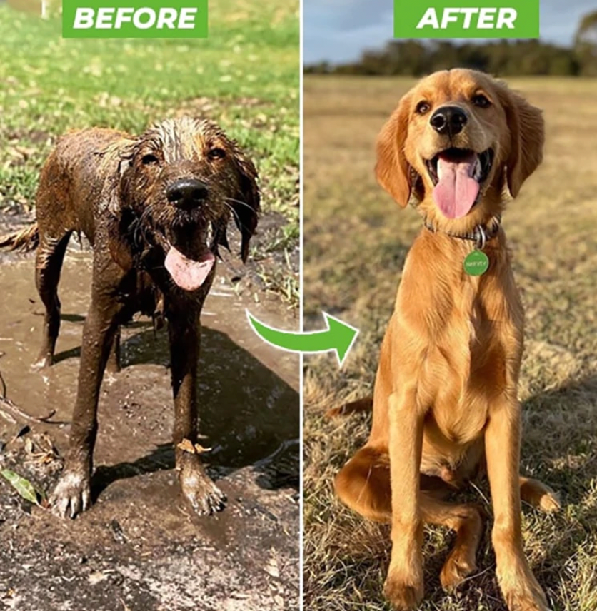 High Pressure Dog Washing Nozzle Attachment